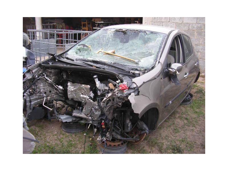 renault clio del año 2009