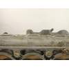 Recambio de culata gasolina para mercedes-benz ml 320 g-112942 163 referencia OEM IAM R1120161301  