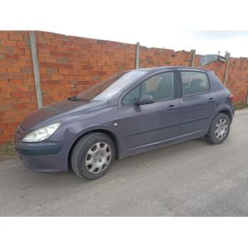 PEUGEOT 307 (3A/C)