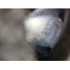 Recambio de motor turbo diesel para bmw x1 (f48) xdrive 20 d referencia OEM IAM B47C20A  