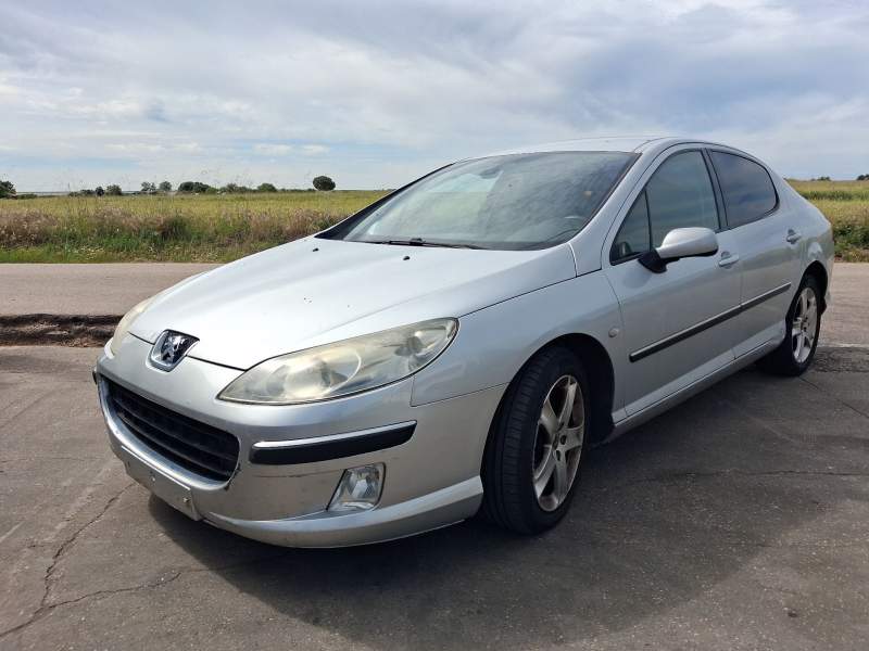 PEUGEOT 407 (6D_)