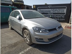 volkswagen  del año
