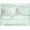 ford focus i turnier (dnw) del año 1999