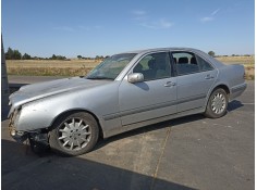 m. benz  del año