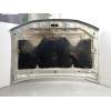 Recambio de capo para nissan pathfinder (r51) 2.5 dci chrome referencia OEM IAM 65100EB330  