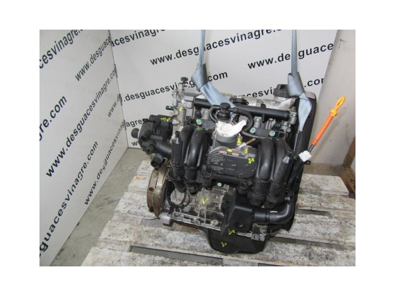 Recambio de motor gasolina : seat ibiza : 1.4 g (59,82cv) [2001] para seat ibiza 1.4 g referencia OEM IAM AUD  