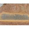 Recambio de diferencial trasero para nissan pathfinder iii (r51) 2.5 dci 4wd referencia OEM IAM 38311EB300  