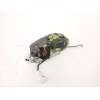 Recambio de cerradura puerta delantera derecha para suzuki baleno (eg) 1.9 td (sy419) referencia OEM IAM 8220160G10  