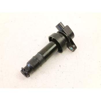 BOBINA 273012B010 
