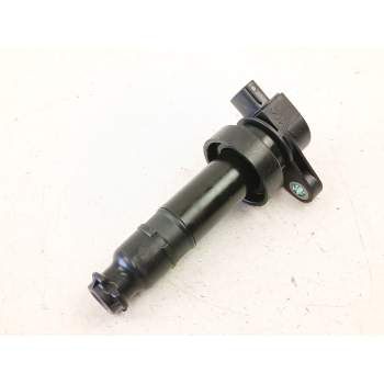 BOBINA 273012B010 