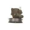 Recambio de bomba direccion para volkswagen polo (6n2) 1.4 tdi referencia OEM IAM 6N0422154A 26069334 