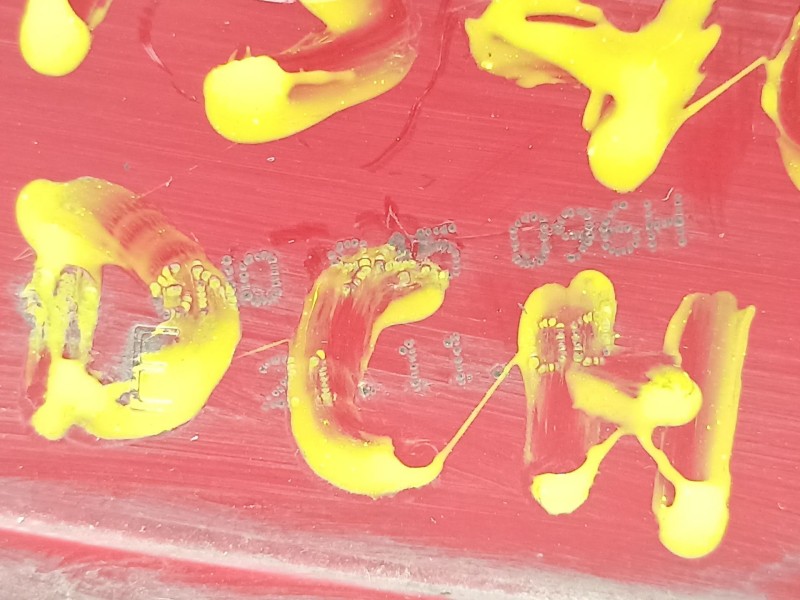 Recambio de piloto trasero derecho para volkswagen polo 1.4 g referencia OEM IAM 6N0945096H  