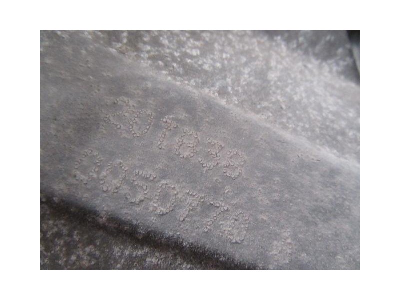 Recambio de cambio 5v (diesel) : citroen xsara : 1.9 d -dhy (89,73cv) [1998] para citroen xsara 1.9 d -dhy referencia OEM IAM 20