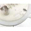 Recambio de bomba combustible aforador para peugeot 406 (8b) 1.9 td referencia OEM IAM 9630742680 09731809906 
