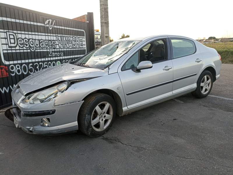 PEUGEOT 407 (6D_)