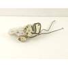 Recambio de cerradura puerta delantera derecha para mitsubishi montero 3.2 did referencia OEM IAM MR512236  