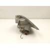 Recambio de piloto delantero derecho para ford fiesta iii (gfj) 1.1 referencia OEM IAM 97FX13368BA  1062434
