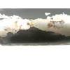 Recambio de motor arranque para renault kangoo (f/kc0) authentique referencia OEM IAM 7700113207  