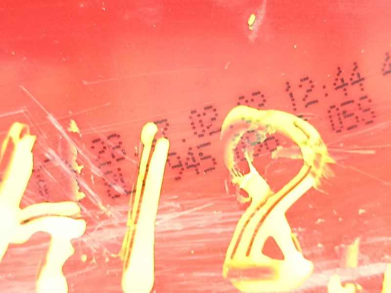 Recambio de piloto trasero derecho para audi a3 (8l1) 1.9 tdi quattro referencia OEM IAM 8L0945096C  