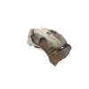 Recambio de pinza freno delantera derecha para chrysler sebring (js) 2.0 vvt referencia OEM IAM 5191238AA  