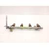 Recambio de inyectores juego para chevrolet aveo / kalos hatchback (t250, t255) 1.2 referencia OEM IAM 96518620  