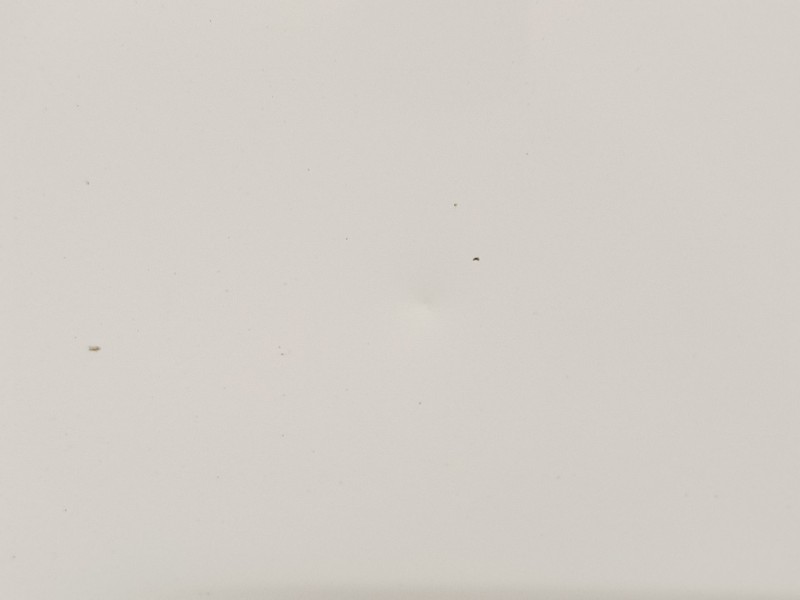 Recambio de puerta trasera derecha para chevrolet orlando (j309) 2.0 d referencia OEM IAM 95242607  