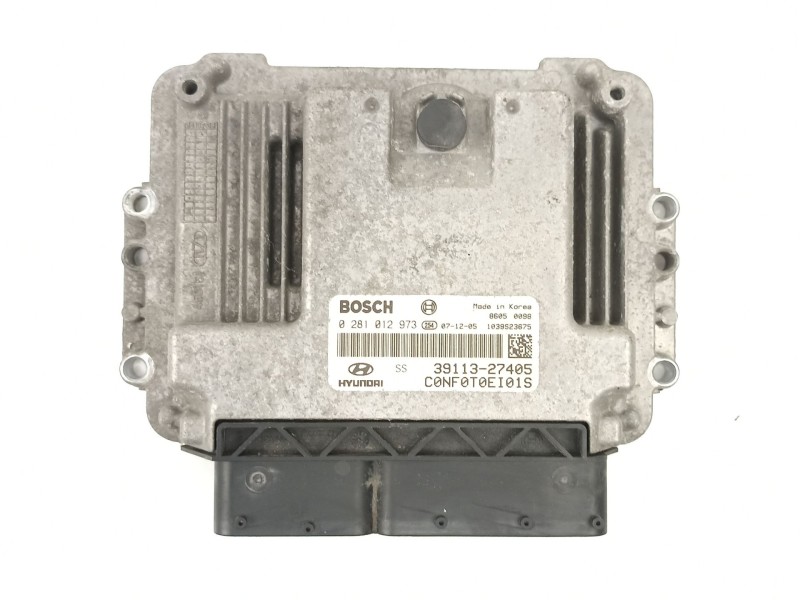 Recambio de centralita para hyundai sonata v (nf) 2.0 crdi referencia OEM IAM 3911327405 0281012973 