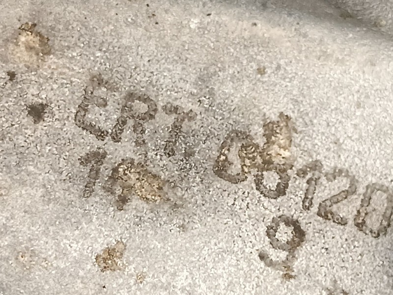 Recambio de caja cambios 5v gasolina para seat toledo ii (1m2) 1.6 16v referencia OEM IAM ERT  