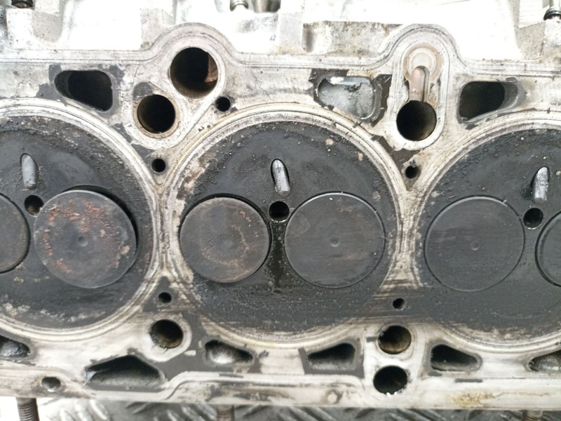 Recambio de culata turbo diesel para volkswagen touareg (7la, 7l6, 7l7) 2.5 r5 tdi referencia OEM IAM 070103373C  