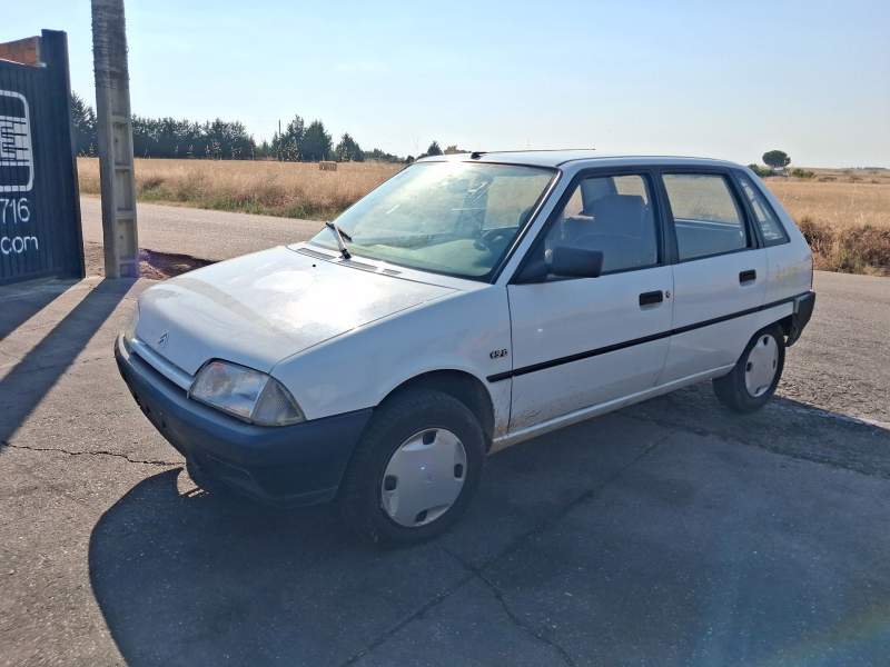 citroën ax (za-_) del año 1995