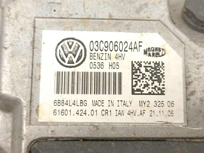 Recambio de centralita para seat ibiza iii (6l1) 1.4 16v referencia OEM IAM 03C906024AF  