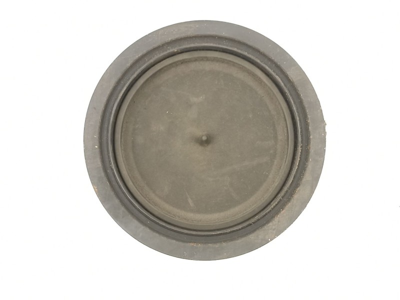 Recambio de polea cigueñal para seat ibiza (6l1) 1.9 tdi referencia OEM IAM 03G105243  