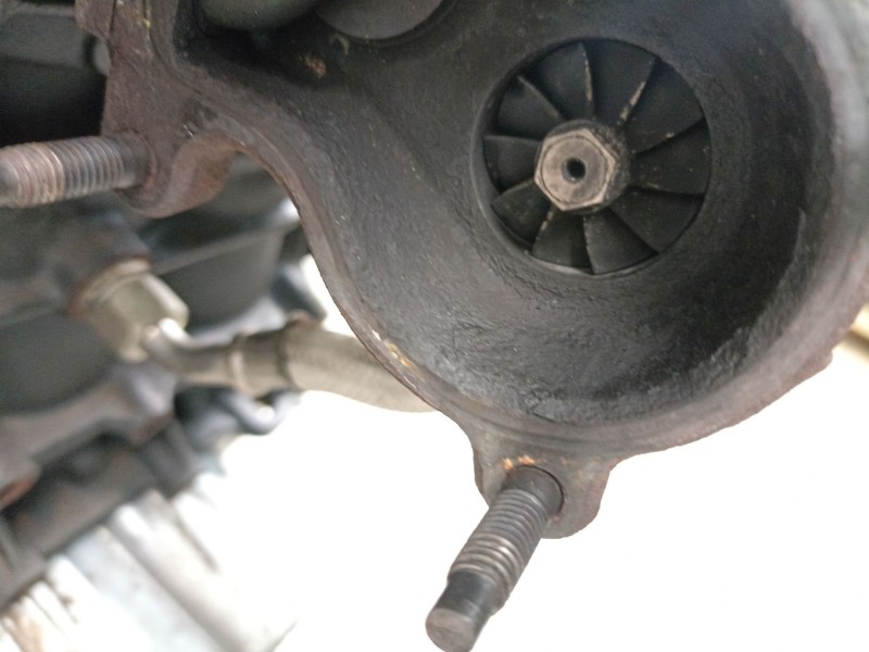 Recambio de motor turbo diesel para volkswagen polo (6n2) 1.4 tdi referencia OEM IAM AMF  