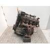 Recambio de motor gasolina para seat ibiza ii (6k1) 1.4 i referencia OEM IAM AKK  