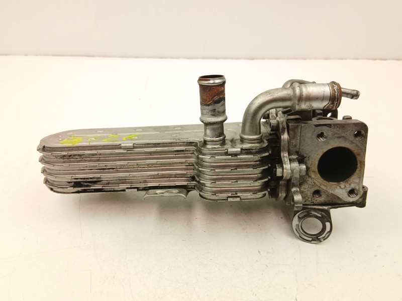 Recambio de enfriador egr para skoda superb ii (3t4) 1.9 tdi referencia OEM IAM 038131513AD  