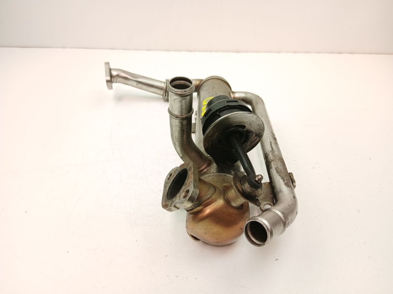 Recambio de enfriador egr para audi a3 (8p1) 2.0 tdi 16v referencia OEM IAM 03G131512AA  