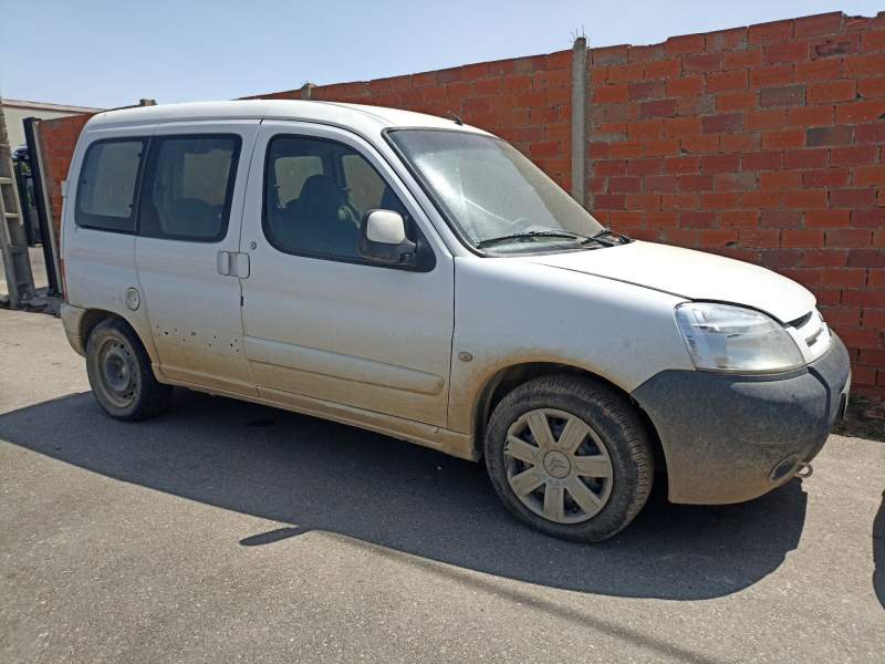 citroën berlingo cuadro del año 2007