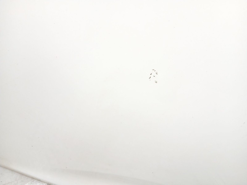 Recambio de puerta delantera izquierda para kia carens iv 1.7 crdi referencia OEM IAM 76003A4000  