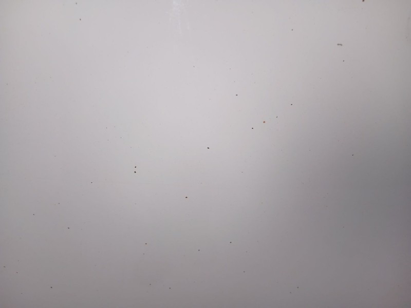 Recambio de capo para kia carens iv 1.7 crdi referencia OEM IAM 66400A4000  