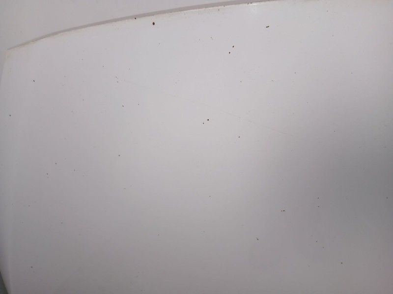 Recambio de capo para kia carens iv 1.7 crdi referencia OEM IAM 66400A4000  