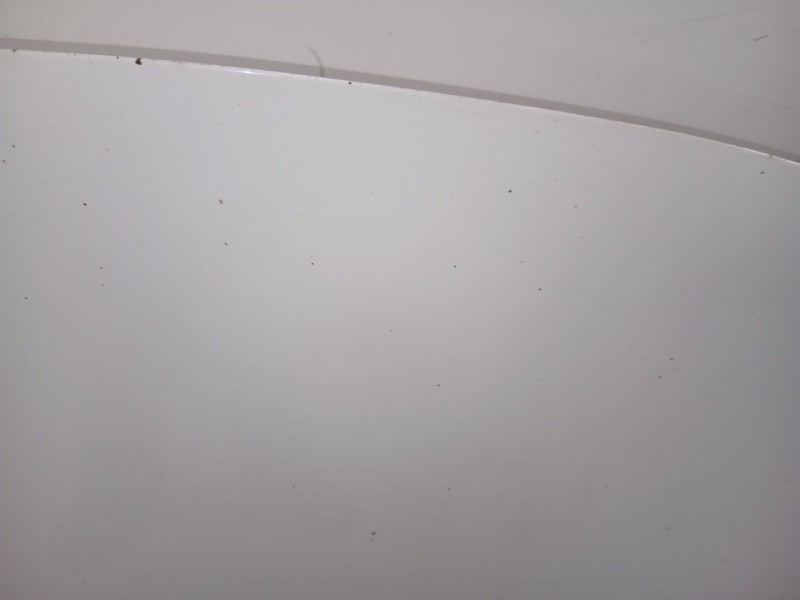 Recambio de capo para kia carens iv 1.7 crdi referencia OEM IAM 66400A4000  