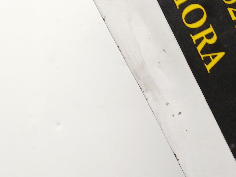 Recambio de porton trasero para dacia lodgy (js_) 1.5 dci referencia OEM IAM 901003031R  