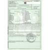 ford focus i turnier (dnw) del año 2001