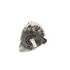 Recambio de alternador para bmw 1 (f20) 118 d referencia OEM IAM 7823343 FG18S045 