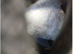 Recambio de motor turbo diesel para bmw x1 (f48) xdrive 20 d referencia OEM IAM B47C20A   2