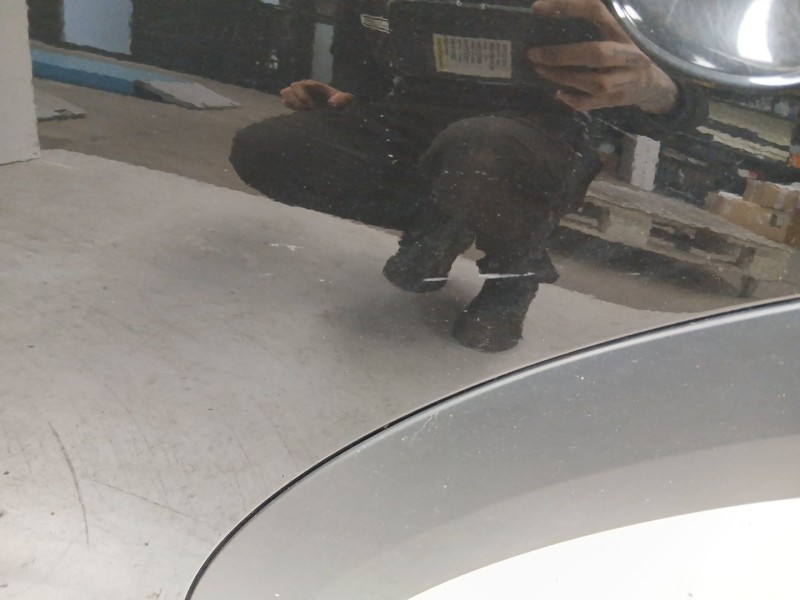 Recambio de puerta trasera izquierda para mini mini countryman (r60) cooper sd referencia OEM IAM 41009805929  