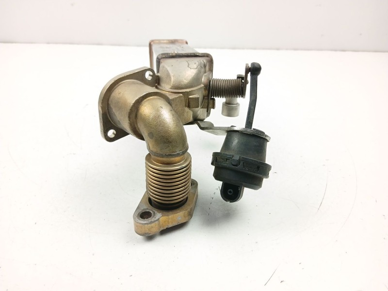 Recambio de enfriador egr para bmw 3 (e90) 320 d referencia OEM IAM 7797371  