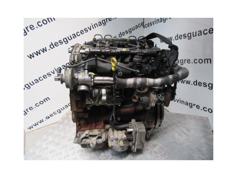 Recambio de motor td/tdi : ford mondeo : 2.0 tdci (115,57cv) [2005] para ford mondeo 2.0 tdci referencia OEM IAM HJBB  