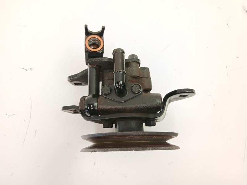 Recambio de bomba direccion para nissan terrano ii (r20) 2.7 tdi 4wd referencia OEM IAM 491107F700  