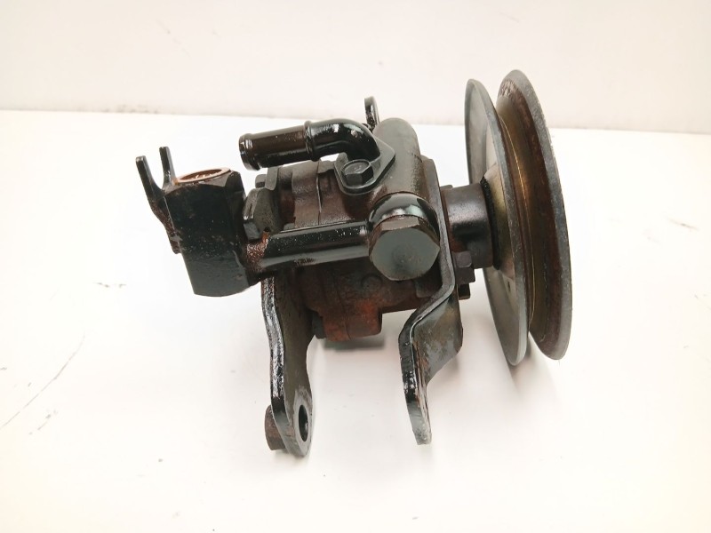 Recambio de bomba direccion para nissan terrano ii (r20) 2.7 tdi 4wd referencia OEM IAM 491107F700  